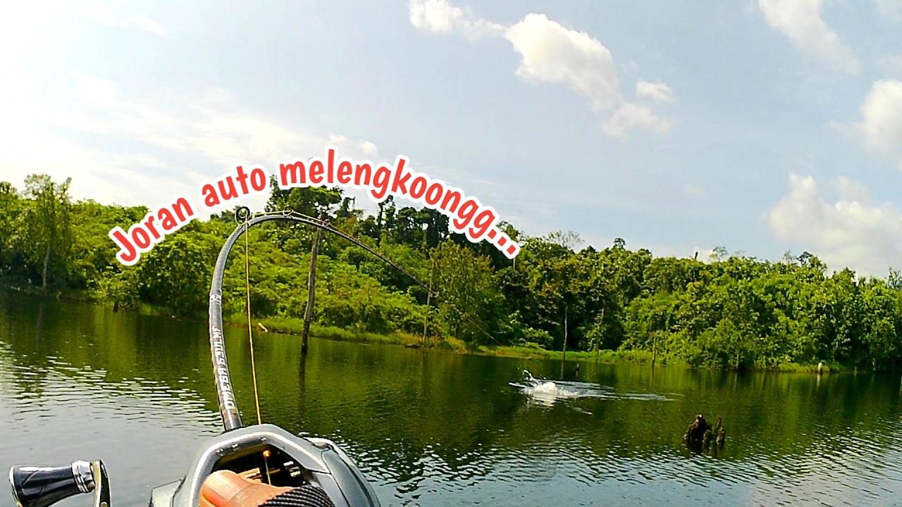 Casting toman yang timbul kepermukaan langsung respon meledak..!!