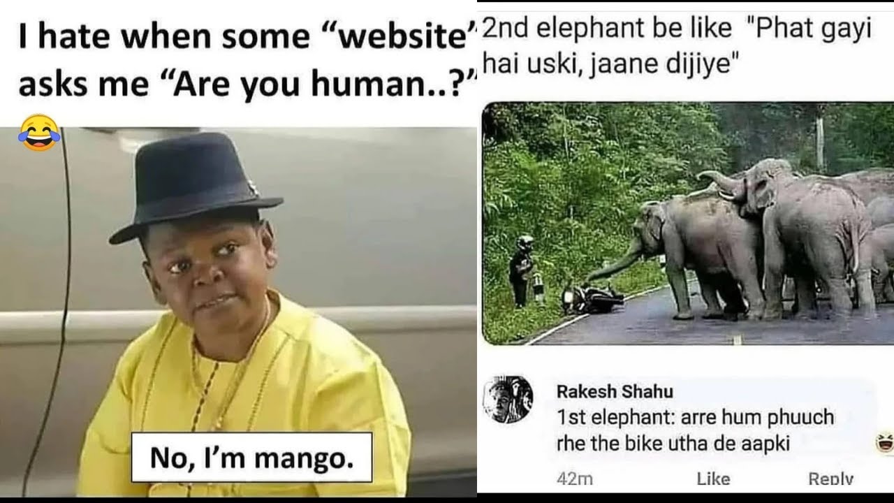 Funny memes | dank memes that make you laugh | shinchan tube