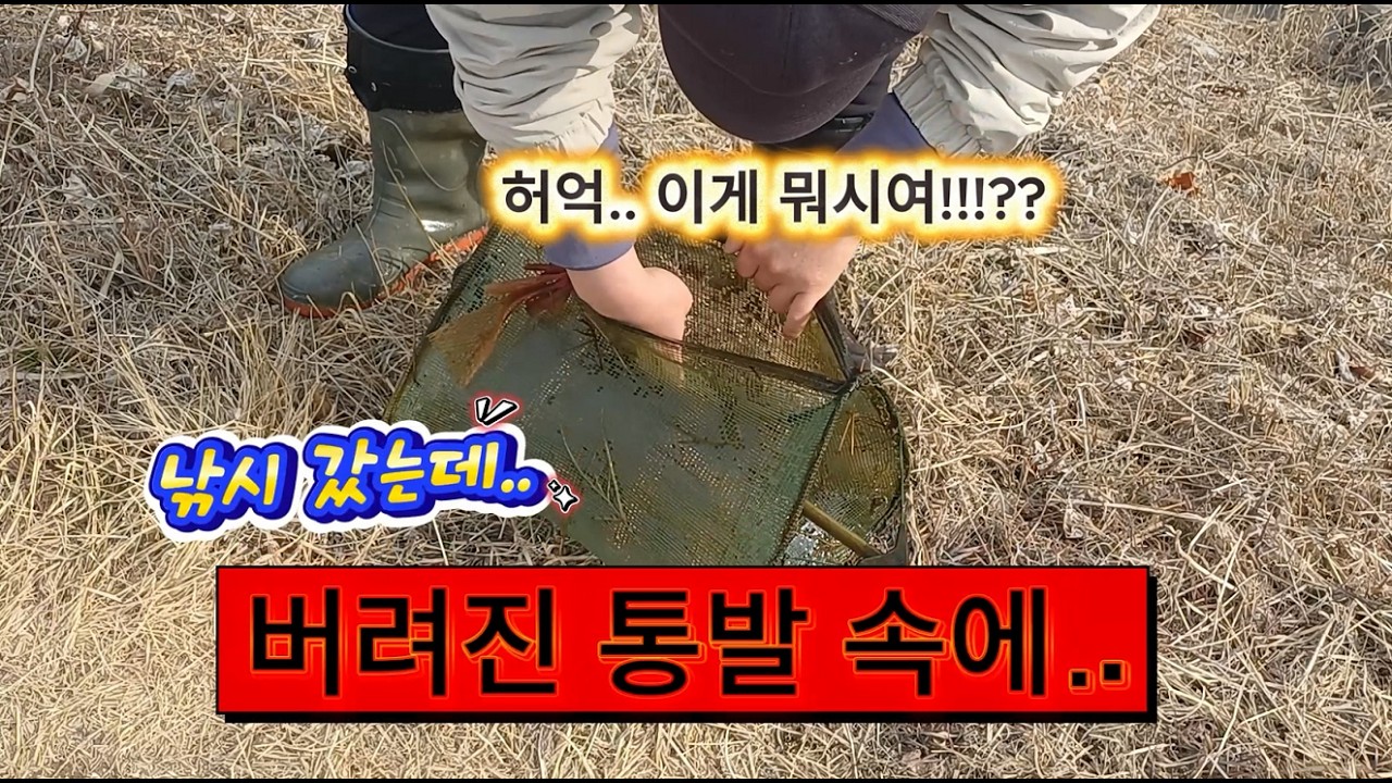 낚시 갔는데.. 버려진 통발 속에... 헉...