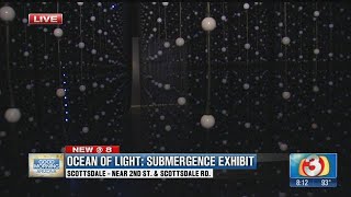 Ocean of Light exhibit brings record number of visitors to SMOCA