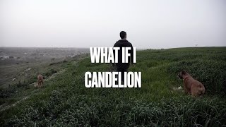 WHAT IF I - CANDELION [LYRICS]