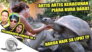 ARTIS PELIHARA KURA DARAT! BENER GA CARANYA ? KOK HARGA KURA NAIK 5 KALI LIPAT YA ? FT. RADIO TORTO