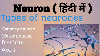 Neurone  ( हिंदी में ) || Types of Neuron || sensory neuron || motor Neurone || Dendrite||Axon