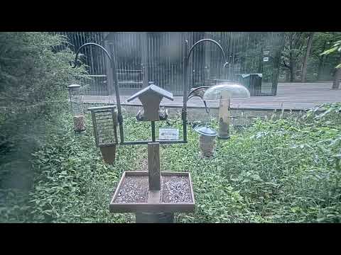 The Wild Birds Unlimited Bird Feeder in the Virginia B. Fairbanks Art and Nature Park