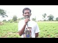 Rampur Farmer Santosh Nayak Success Story