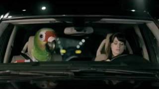 Vinta Parrot Ad In Car