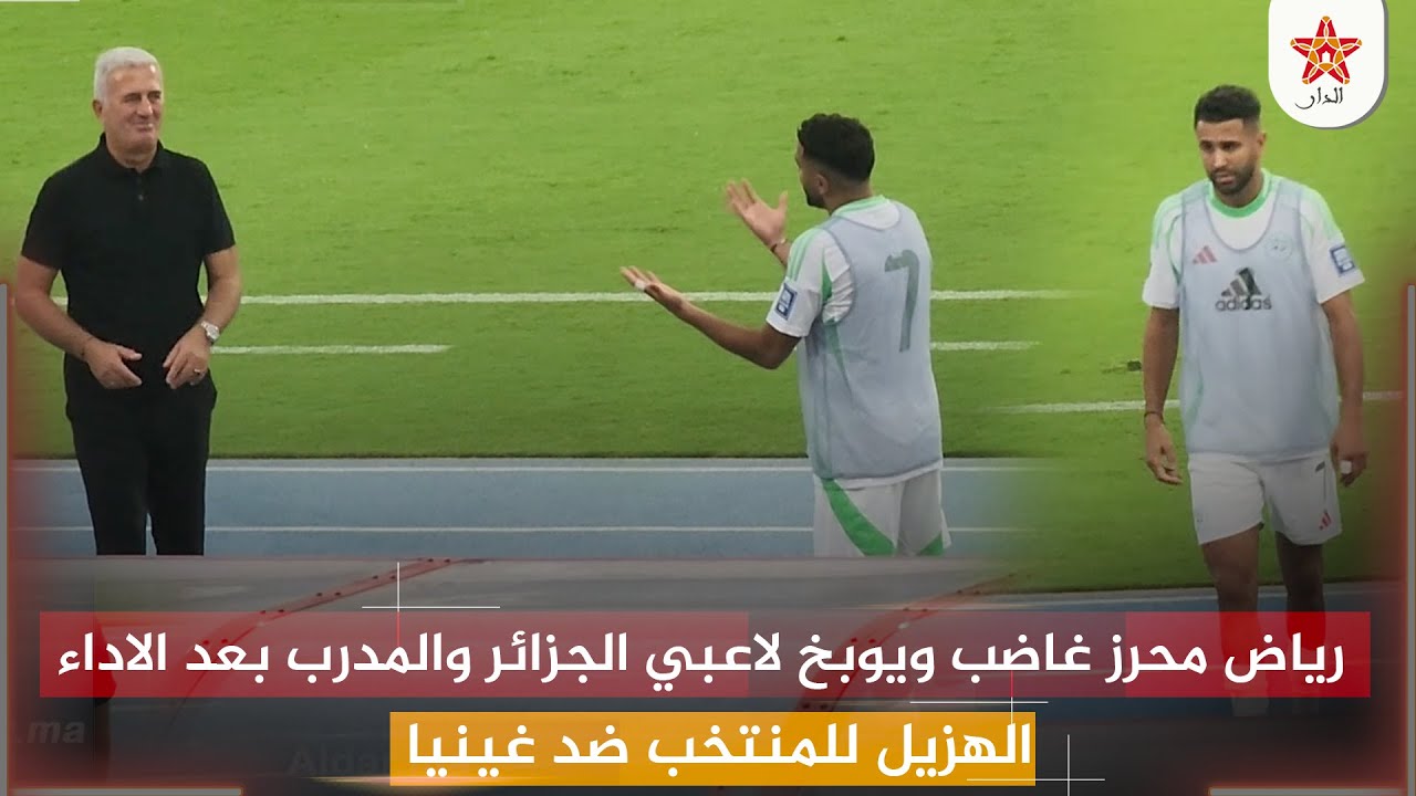 رياض محرز غاضب ويوبخ لاعبي الجزائر والمدرب بعد الاداء الهزيل للمنتخب ضد غينيا