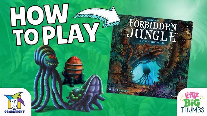 Forbidden Island: A four-sided game review - Go Play ListenGo Play Listen