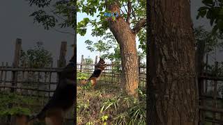 “Raw Uncut Clips🔥”