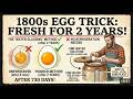 The 1800s Pioneer Trick to Keep Eggs Fresh for 2 Years (No Fridge!)
