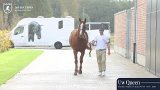 Video Uw Queen - Walk