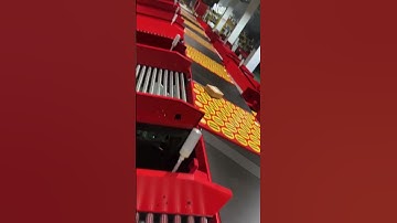 Automated warehouse system