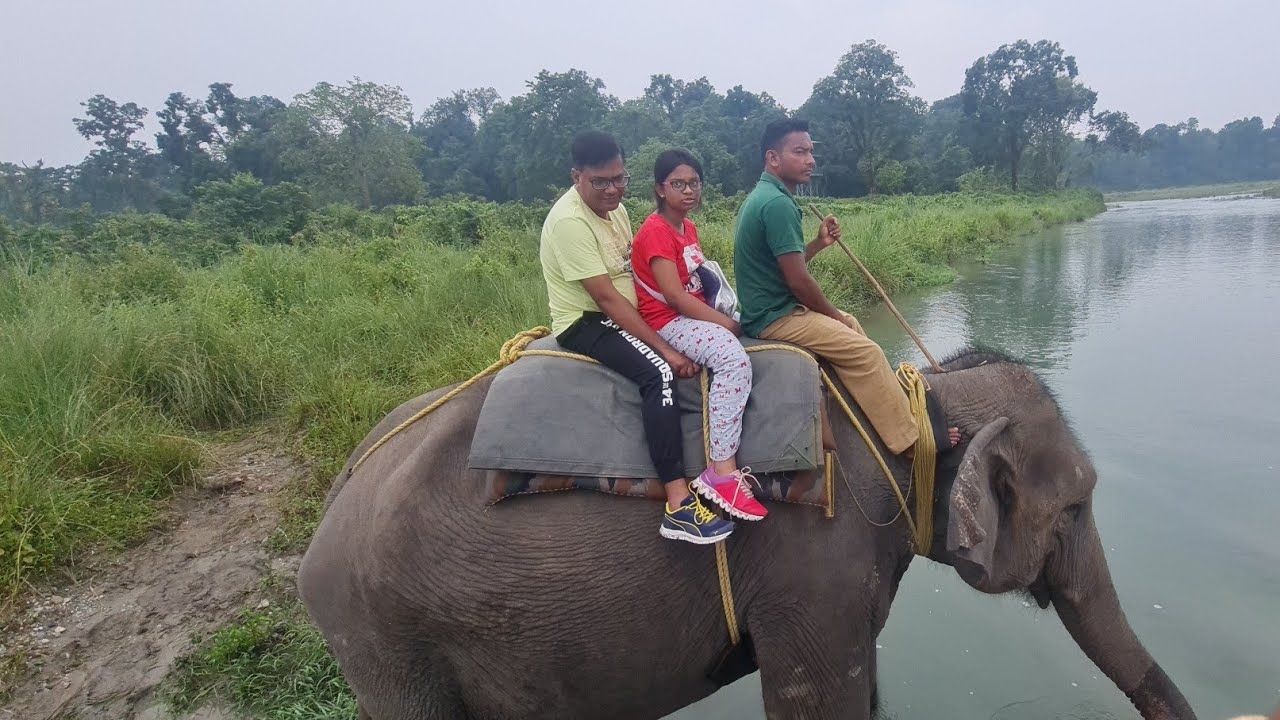 dhupjhora elephant safari booking