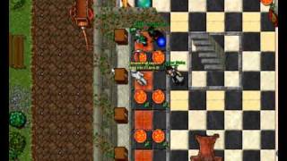 Im Here - Plx free items (tibia)