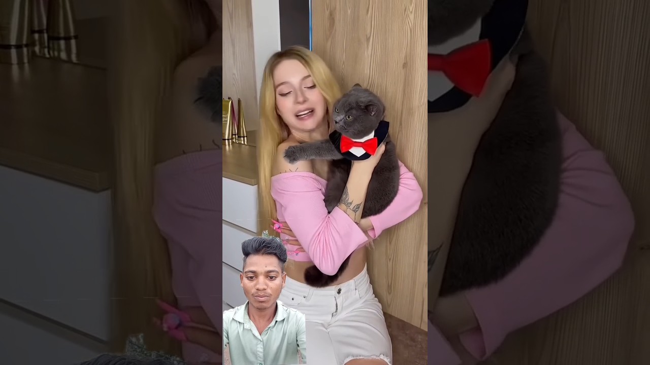 this viral cat's and girls 