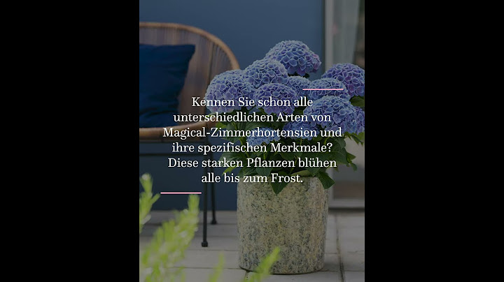 Die verschiedenen Magical Hydrangea Gartenhortensienarten - Teil 1 (DE)