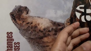 class 4 Ch- Factors & Multiples (ex 6.3)