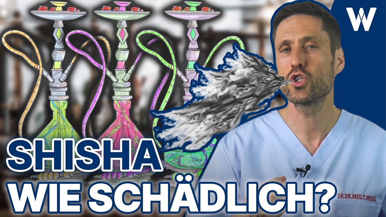 Shisha Update: Neues über gesundheitliche Folgen, Suchtgefahr & Wasserpfeife rauchen vs. Zigarette