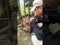 Never Give Food To Monkeys Ever