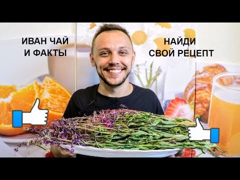 Иван чай (копорский чай) ИНТЕРЕСНЫЕ факты польза и вред