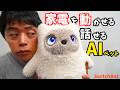 家電も動かすAIペットがキタ！話せる理解できる相棒と3日過ごしてみた