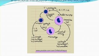 Chronic Inflammation (HD)