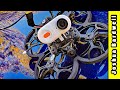 Caddx Peanut fixes the biggest complaint about Insta360 Go (ultra light HD cam for sub 250g FPV)