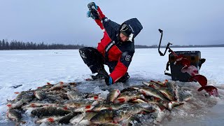 видео: ШОК! Вот это РАЗДАЧА! ЩУКА И ГОРБАТЫЕ ОКУНИ НА ЛОЖКУ! ПОДВОДНАЯ СЪЕМКА Это ЯКУТИЯ! Первый лёд 2024! картинка: ШОК! Вот это РАЗДАЧА! ЩУКА И ГОРБАТЫЕ ОКУНИ НА ЛОЖКУ! ПОДВОДНАЯ СЪЕМКА Это ЯКУТИЯ! Первый лёд 2024!