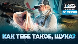 видео: ЖЕСТЬ! ЩУКА НАБРОСИЛАСЬ на огромного бульдога! СМОТРЕТЬ ДО КОНЦА | «Одна в лодке» |2 сезон| 10 серия картинка: ЖЕСТЬ! ЩУКА НАБРОСИЛАСЬ на огромного бульдога! СМОТРЕТЬ ДО КОНЦА | «Одна в лодке» |2 сезон| 10 серия