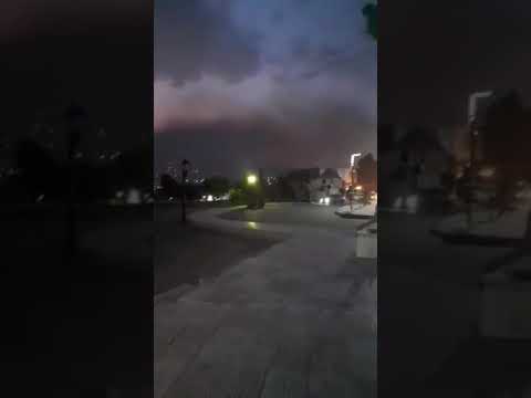 يحدث في قصر البخاري