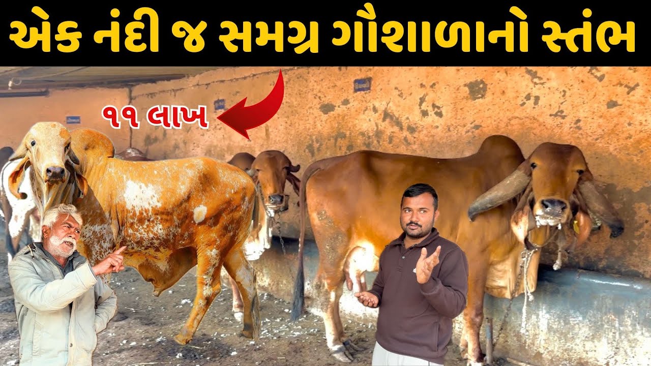 આર્યમાન