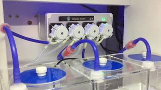 Red Sea Reefer 250 | Coral Box WiFi Doser | Tropic Marin Balling Method (A,B,C)