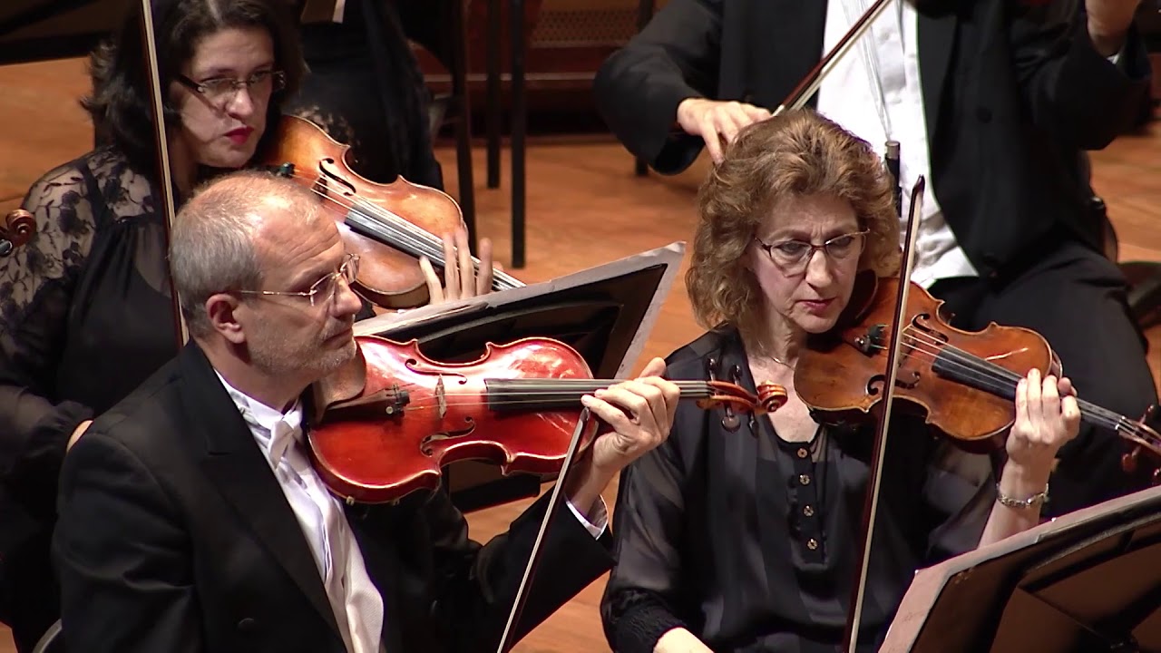 Diego Vega, Música Muisca