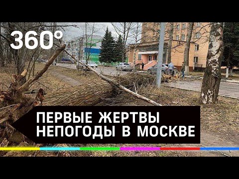 Первые жертвы непогоды в Москве