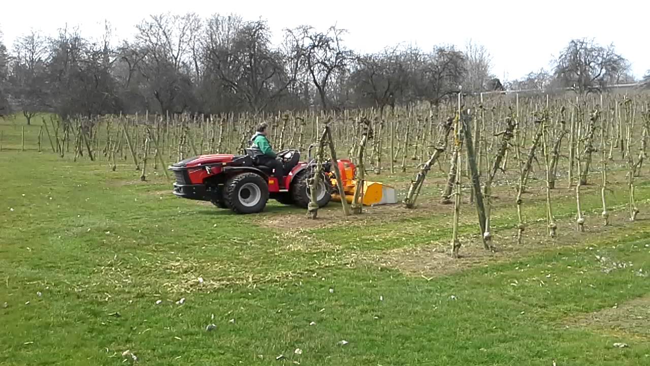 Valpadana 9600 ARR mit AEDES Schlegelmulcher