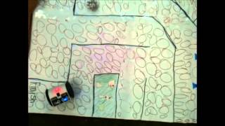 The Maze