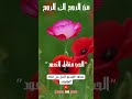 الحب مقابل التعود ما الفرق بين الحب والحاجة الوعي الروحي تطوير الذات الحب