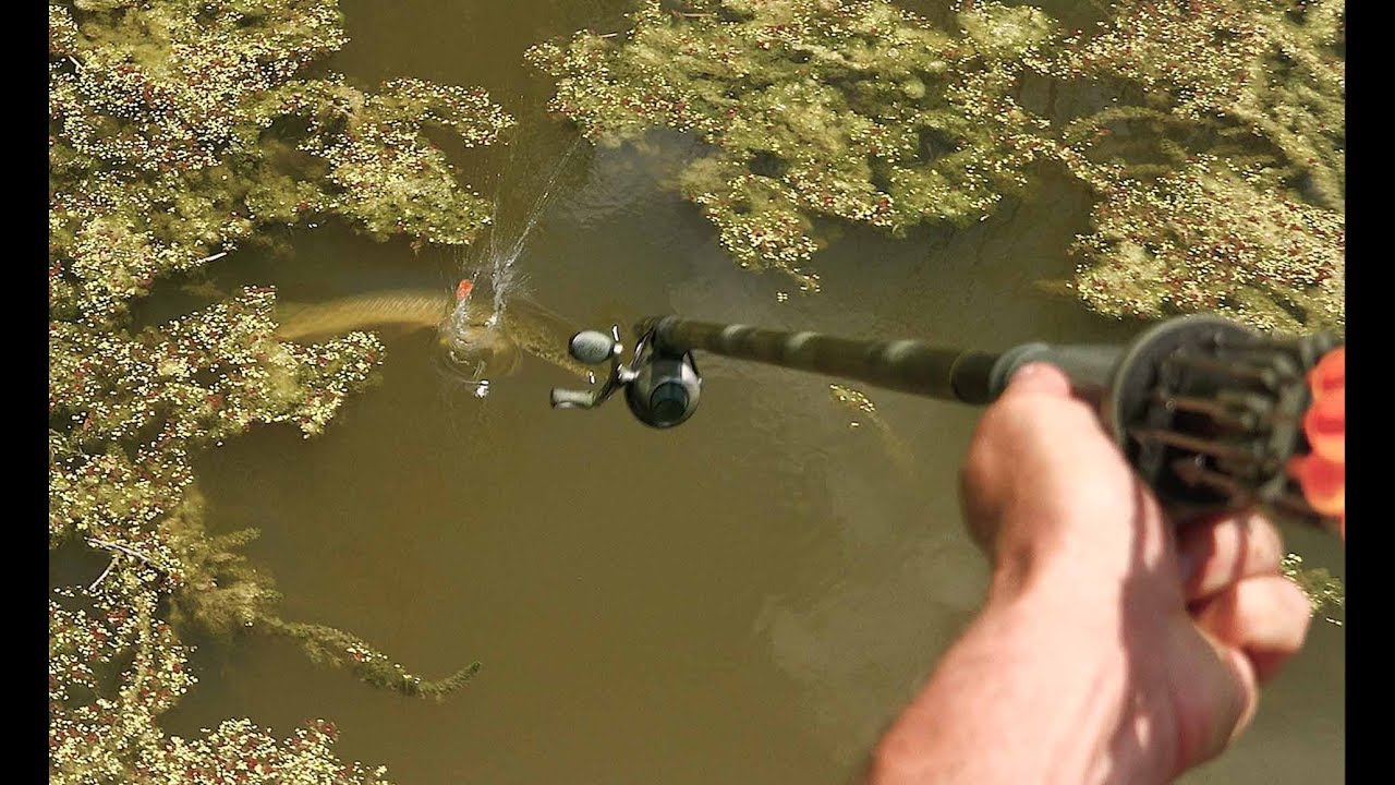 blowgun fishing pole Blow Gunning River Gar