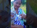 Breastfeeding Monkeys #cutebaby#babymongkey #babymonkey #babymonkeyattacked #babymonkeyvideos 25