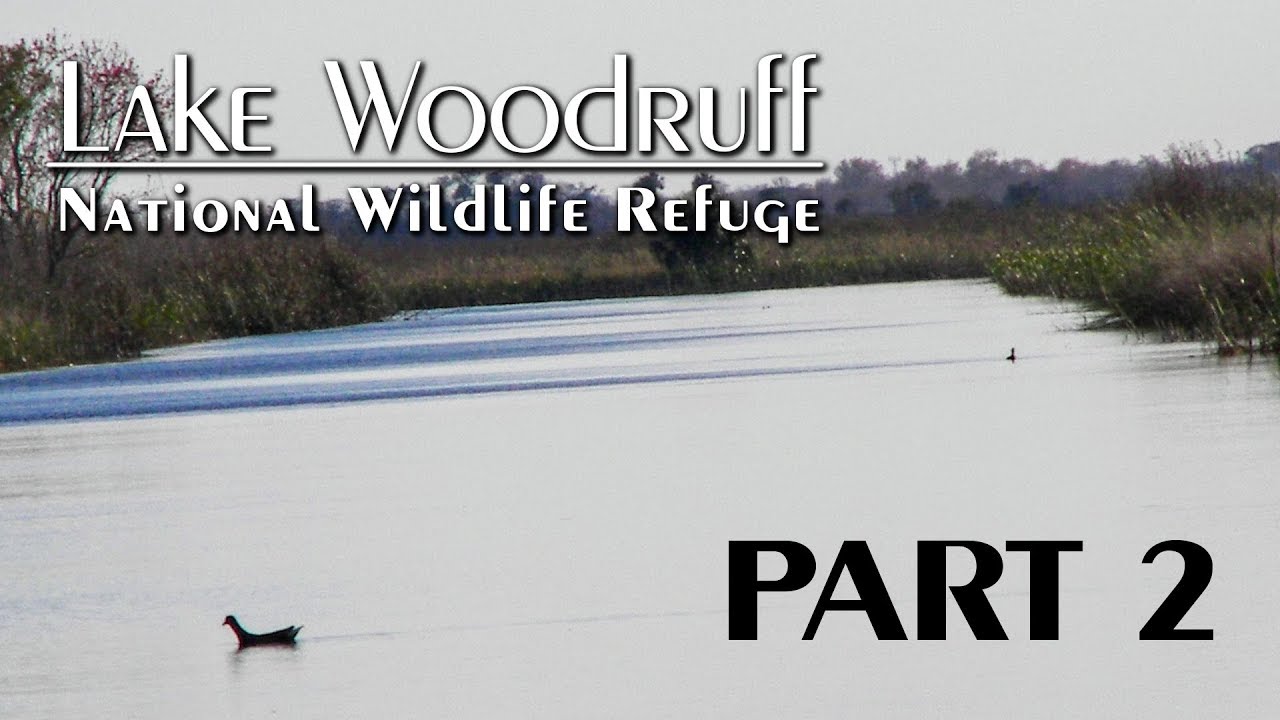 Lake Woodruff National Wildlife Refuge Part 2 YouTube