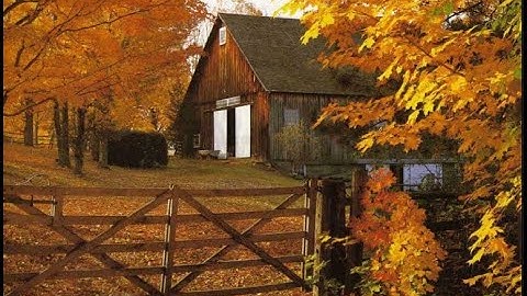 Drawing Conclusions in Videos and Nonfiction reading