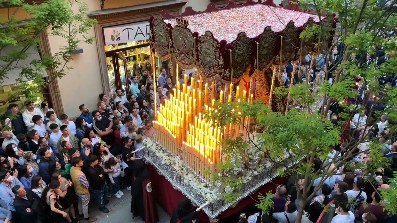 Como tú ninguna | La Virgen de Regla por Amor de Dios 2022