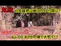 【猟期 シーズン 5】Ep06 鬼嫁さんの罠に予想外の獲物が!シカだと思ったらイノシシで大慌て!【猪】【鹿】【わな猟】【狩猟】
