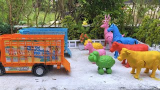 Mantul‼️ Proses Angkut Sapi Kotor Berlumpur Dengan Truk Oleng Dan Membersihkan 