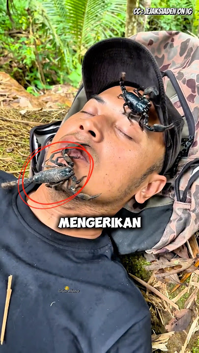Makhluk apa ini yang hinggap diwajahnya😱