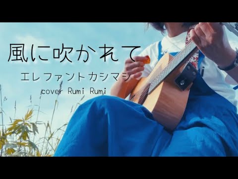 風に吹かれて /エレファントカシマシ/宮本浩次/弾き語り/cover/歌詞付き