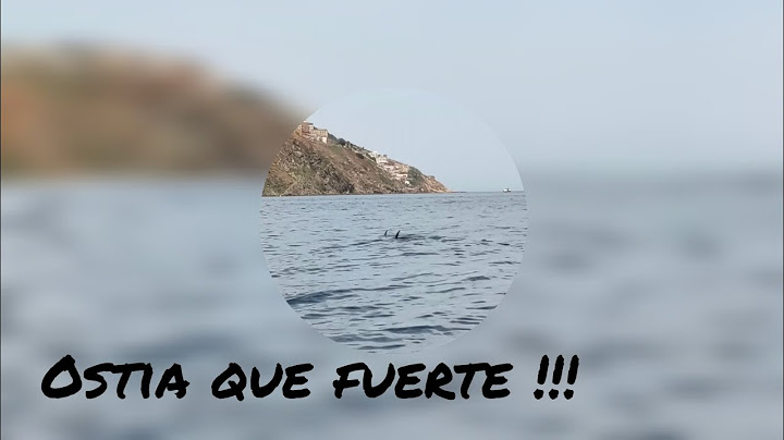 #pesca #tiburón 😯 No me lo creía  hasta que lo vi de cerca 😯