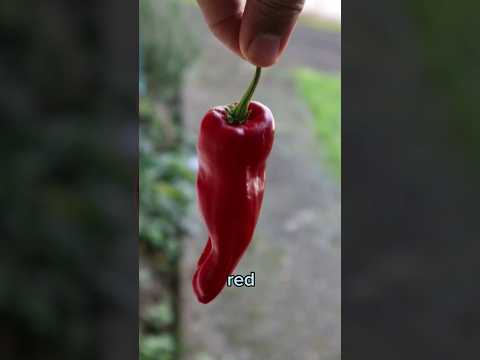 Have you Tried