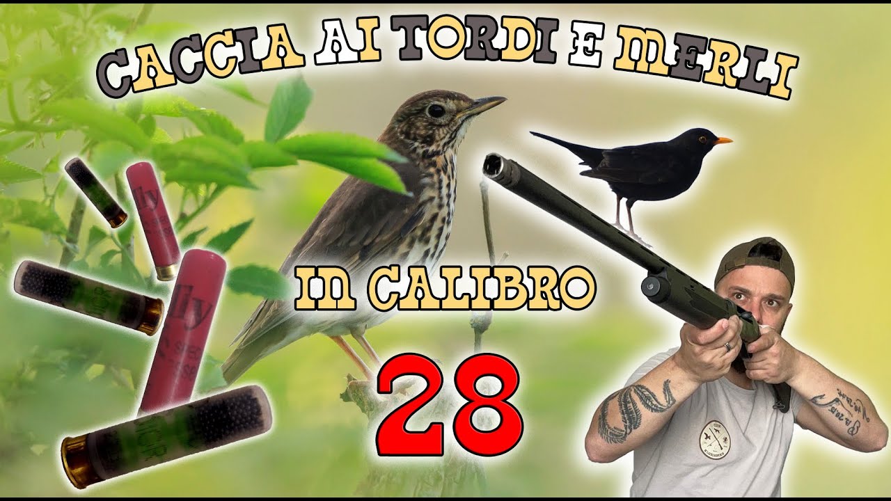 CACCIA ai TORDI e MERLI in CALIBRO 28 ITALY - I primi COLPI con ARMSAN CRE8 - #hunting #caccia #4k