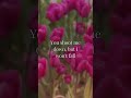 David Guetta feat. Sia - Titanium | Lyrics